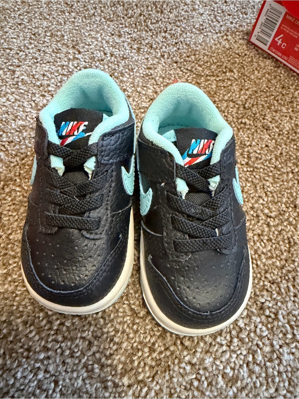 Nike Dunk Low SE (TDE)